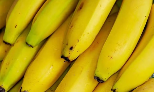 Sebrae Rio participa da 1ª Festa da Banana em Engenheiro Paulo de Frontin